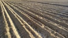 With an increase of soil salinity the electric conductivity (EC) of soil moisture increases.
