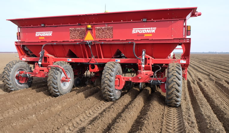 Fully mechanized planters pick up seed tubers