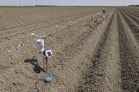 Prototype camera sensor system for assessing number and size of potatoes on harvester.