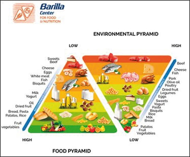 Cedric - Environmental and food pyramids