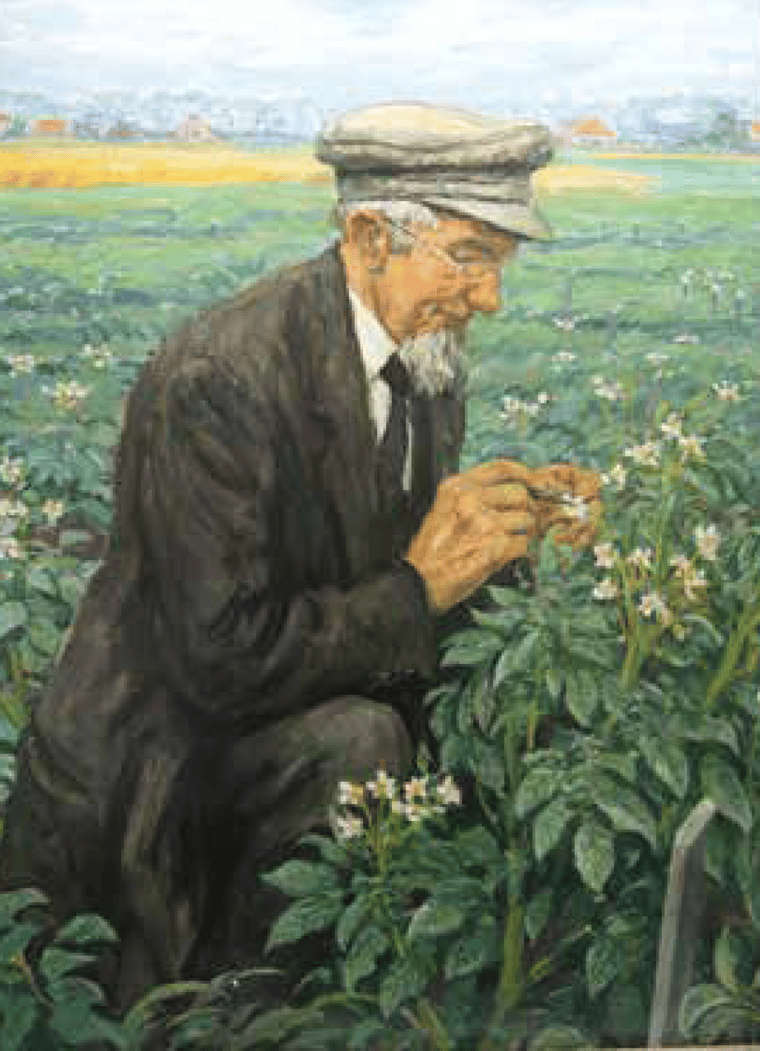 Geert Veenhuizen, a Dutch pioneer in the potato breeding branch.