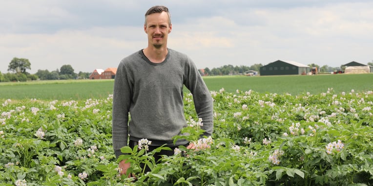 Potato storage without Chlorprofam – Johan Koop