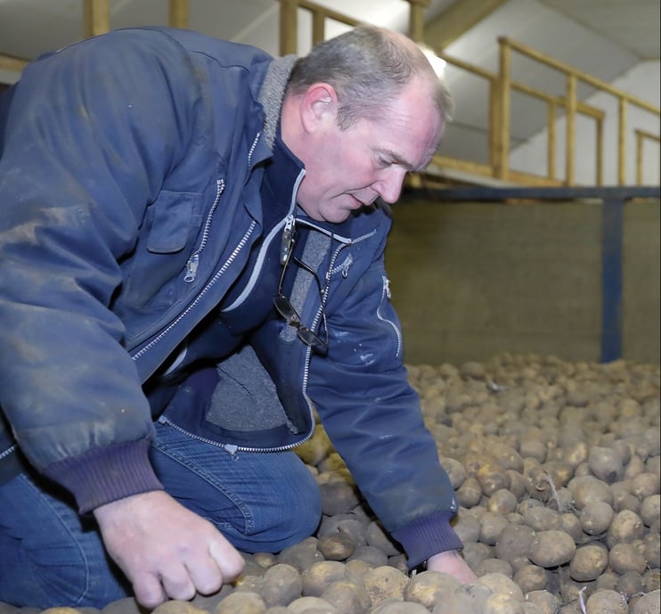 Potato storage without Chlorprofam – Martin de Ruiter-1