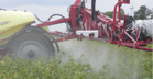 World of Potato Research column - a look at variable rate application of potato haulm killing herbicides.